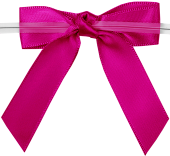 24147_0187-CLER_back Nœuds satinés avec torsade