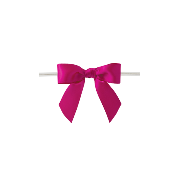 Design sans titre (11) Nœuds satinés avec torsade